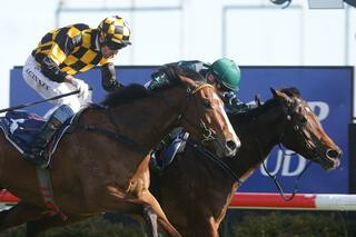 Group Three Gold Trail Stakes winner Aretha (NZ) dominated the first leg of the Series. Photo: Trish Dunell 